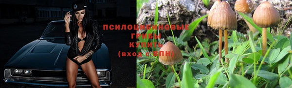 бошки Белоозёрский