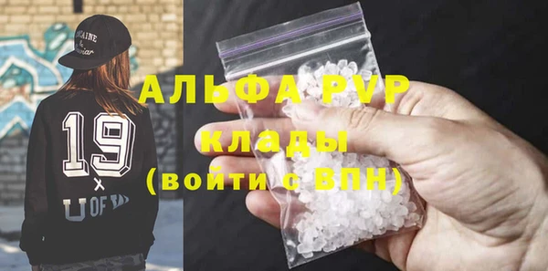 молекула духа Богородицк
