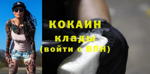 молекула духа Богородицк