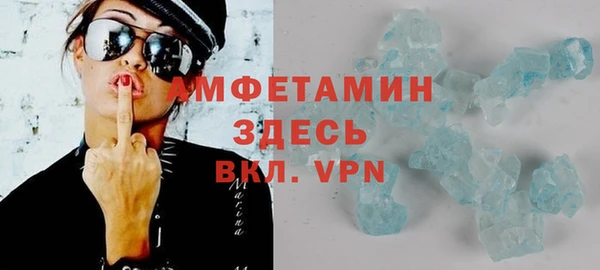 молекула духа Богородицк