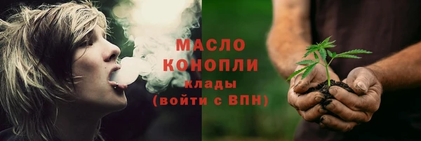 молекула духа Богородицк