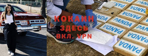 молекула духа Богородицк