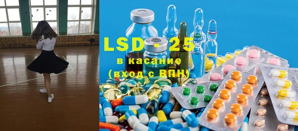 индика Беломорск