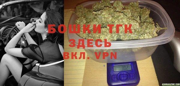 индика Беломорск