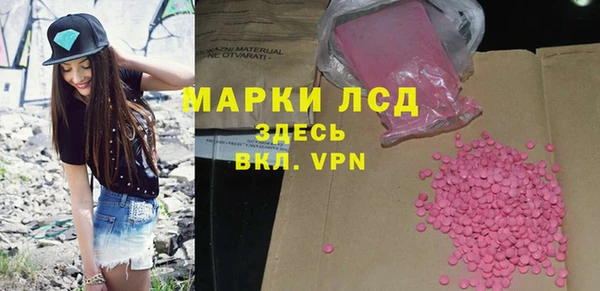 индика Беломорск