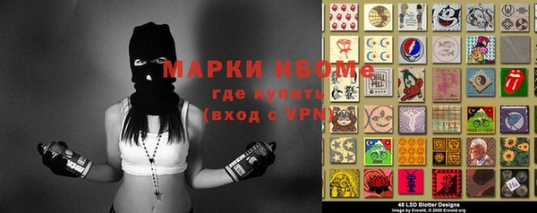 молекула духа Богородицк