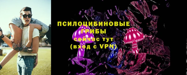 mix Богородск