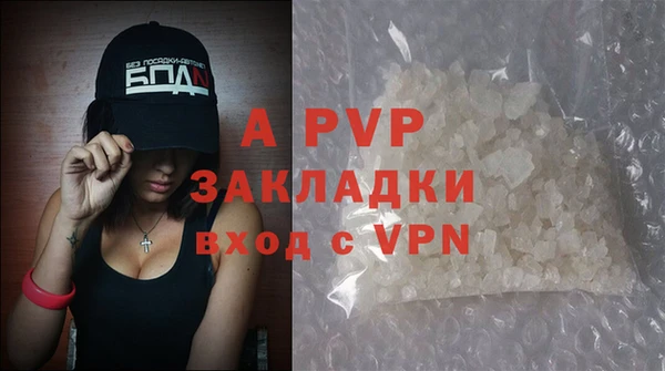 индика Беломорск